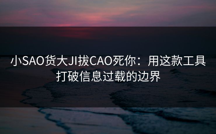 小SAO货大JI拔CAO死你:用这款工具打破信息过载的边界 小SAO货大JI拔CAO死你:用这款工具打破信息过载的边界